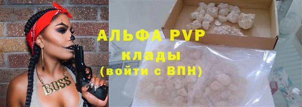 спиды Аркадак