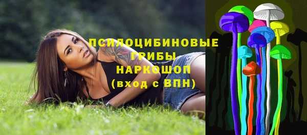 Альфа ПВП Арсеньев