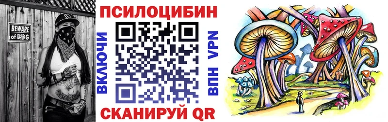 маркетплейс клад  Белебей  Псилоцибиновые грибы Psilocybine cubensis 